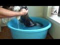 Luxury shampoo makes the boss cat silky smooth and happy!【Eng CC】