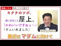 【西成ハウス】キクチウソツカナイ。YouTube紹介チャンネル！
