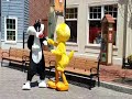Sylvester and Tweety Fighting