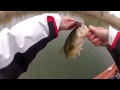 Fishing for largemouth bass in Hungary