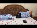 Ali-A sleeping in a bed in FORTNITE BATTLE ROYALE