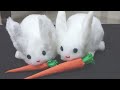 Rabbit Making with Bulb | Rabbit Making | How to Make Rabbit