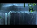 Fall into Sleep in 3 Minutes with Heavy Rain & Pure Thunder Covering Foggy Forest Farmhouse at Night