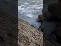 Ice Shattering on Frozen Lake (Slo-Mo)