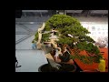 Bonsai Exhibition 2013 in Taipei Part 5 第十八回全國盆栽展