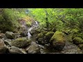 Nature Sounds for sleep and meditation - Sitting by a Waterfall #2 2/2