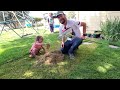 How To Manually Dethatch A Lawn