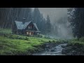 Relaxing Rain in the Misty Forest to Sleep in 3 Minutes - Rain Sounds without Thunder