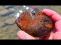 Finding Spectacular Shelf Specimens in the Wild Yellowstone River! #rockhounding