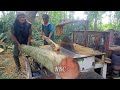 Hard but crunchy ‼️ tiring sawing of jowar wood