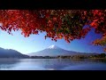 Autumn Serenity: Lakeside Study Music || 1 HOUR || RELAXING MUSIC