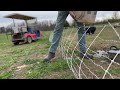 So Much Fun Keeping Chicken and Collecting Eggs | Farm Boots For Men