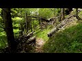 Hiking Forest & Creeks | Virtual Hike, Relaxation, StressRelief, Nature, Mountains, Alpine landscape