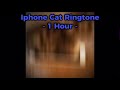 Iphone Cat Ringtone - 1 Hour