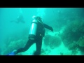Diving at Knuckle Reef