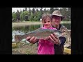 Spawning Rainbow Trout at the Spokane Hatchery