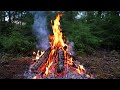 🔥 Cozy Campfire in the Forest (10 HOURS). Autumn Campfire with Crackling Fire Sounds