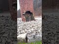 Historic Pennsylvania Chimneys