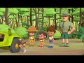 Catch that Mudskipper! | Full Episode | Leo the Wildlife Ranger | Kids Cartoons