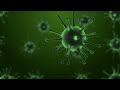 Mysterious Plankton - bacteria green