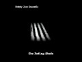 Nobody Jazz Ensemble - Shadow of the murderer