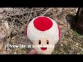 25 Ways to Kill Toad