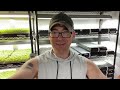Let's Farm - Casual Friday Microgreens Production - Assorted Tasks #microgreens #farming #vlog