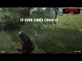 Red Dead Redemption 2 - Skin grinding & Over the cliff