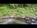 Suasana Dekat Kaki Bukit, Sawah, Kebun, Gemericik Air dan Suara Satwa.