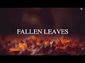 memories of our summer, are slowly becoming winter – FALLEN LEAVES 🍂 feat. @_shiroll