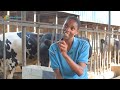 Dairy Farming made her Rich in her 30s I Copy Her 