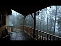 PORCH VIEW RAIN/THUNDER 8_HOUR RAIN WHITENOISE SOUND 100%DeepSleep 100%Relaxation 100%Intimacy #Rain