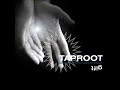 Taproot- Mentobe