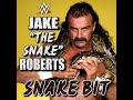 WWE: Snake Bit (Jake 