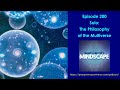 Mindscape 200 | Solo: The Philosophy of the Multiverse
