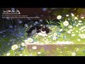 Lofi With My Cat || Cat & Ethereal Flower Garden 😸🌼 Lofi summer - Lofi mix ❣ Cat healing music