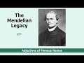 The Mendelian legacy and the life of Gregor Mendel