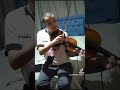 casinha branca - gilson - violino cover gabriel da silva violinista