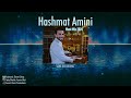 Hashmat Amini - MAST MIX - NEW AFGHAN SONG [LIVE 2024]