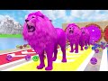 Paint & Animals Duck,Gorilla,Lion,Elephant,Cow,Sheep Fountain Crossing Transformation Animal Cartoon