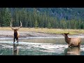 Canada's Nature 4K • Relaxation Film with Peaceful Relaxing Music • Video UltraHD
