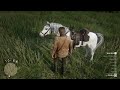 Red Dead Redemption 2 | Jadi Kang Kuda | Naikan Level Kuda Legendaris Arabian Maksimal