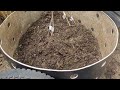 21 day compost challenge. Making quality compost in under a month...wish me luck.