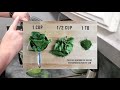 How to Dehydrate Spinach and Kale and Make Green Powder in Preserving for Food Storage
