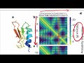 DeepMind's AlphaFold 2 Explained! AI Breakthrough in Protein Folding! What we know (& what we don't)