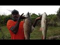 Unbelievable fishing|Fish hunting Big Rohu fishes to Catching in Big hook|Rohu fishing|Uniquefishing