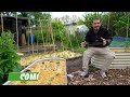 Grow 100 kg of food in a small space