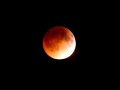 Red Moon Eclipse in 40 Seconds.