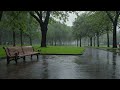 Relaxing rain sounds in a beautiful park will wash away all your stress.