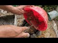 Make a creative pots from old bottles and cement